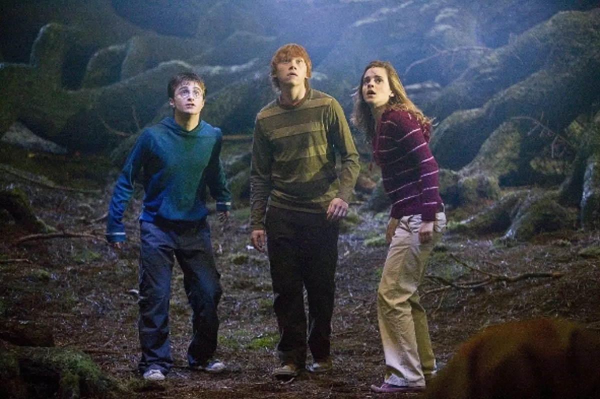 Harry Potter és a Főnix Rendje (Harry Potter and the Order of the Phoenix), 2007 - fotogaléria