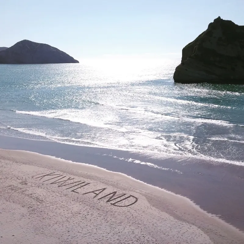 Kiwiland, 2019 - fotogaléria