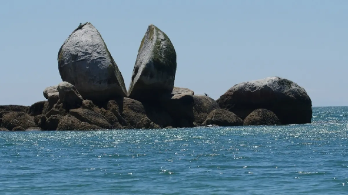 Kiwiland, 2019 - fotogaléria