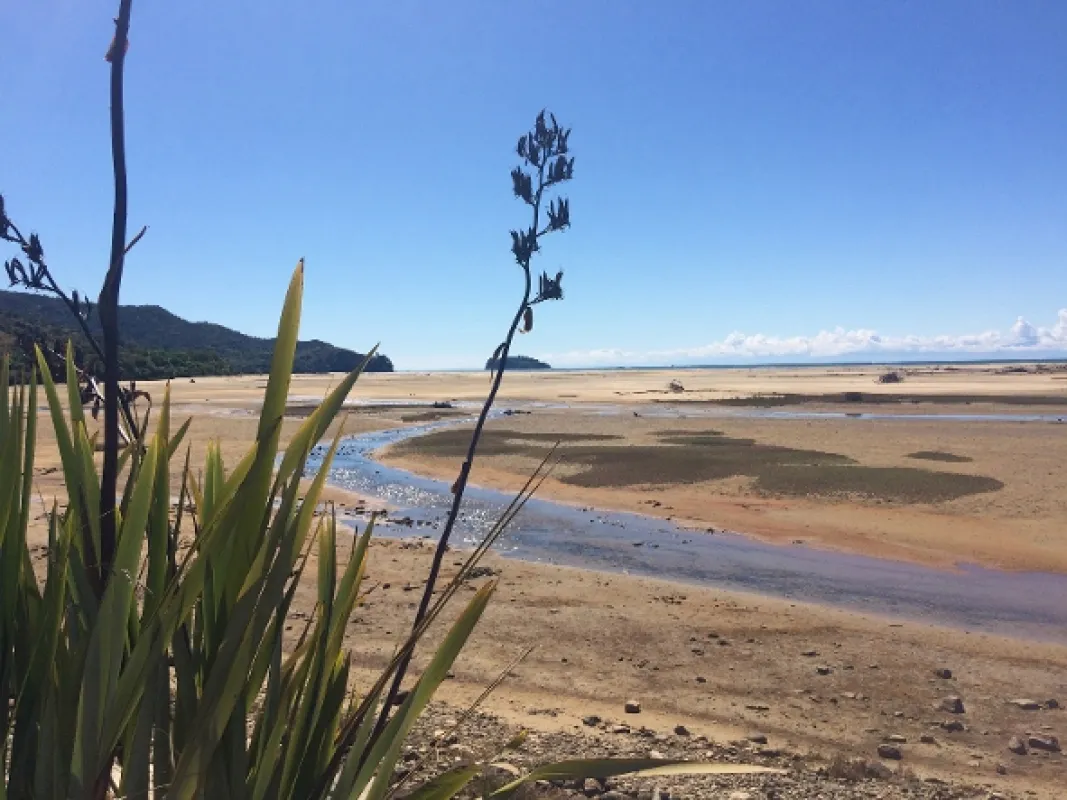 Kiwiland, 2019 - fotogaléria