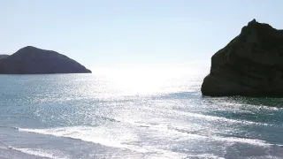 Kiwiland (3/5)