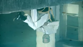 Dynastie Kennedyů (1/6)