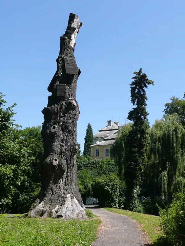 Rajské zahrady, 2009 - fotogaléria