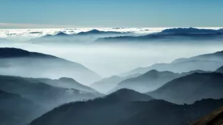 Revír bez hraníc - putovanie alpských medveďov