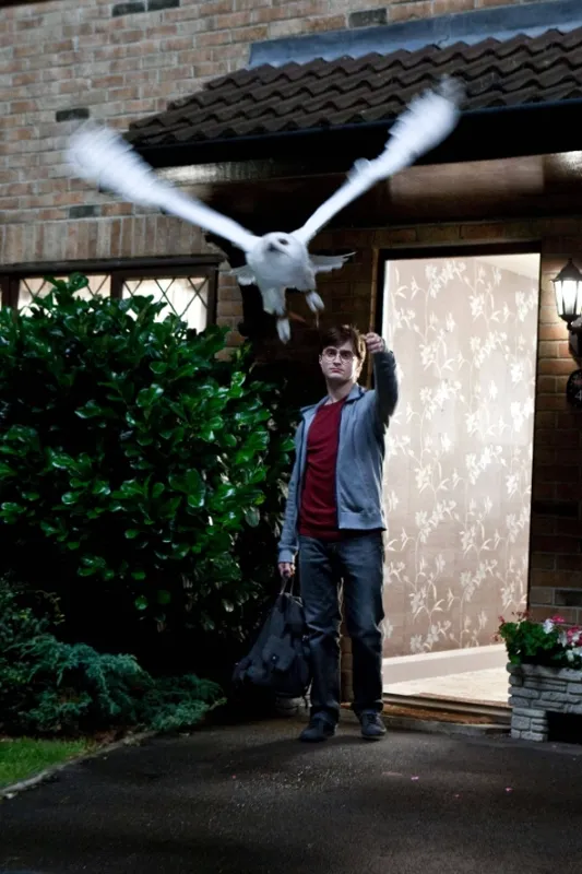 Harry Potter és a Halál ereklyéi 1. rész (Harry Potter and the Deathly Hallows Part 1), 2010 - fotogaléria