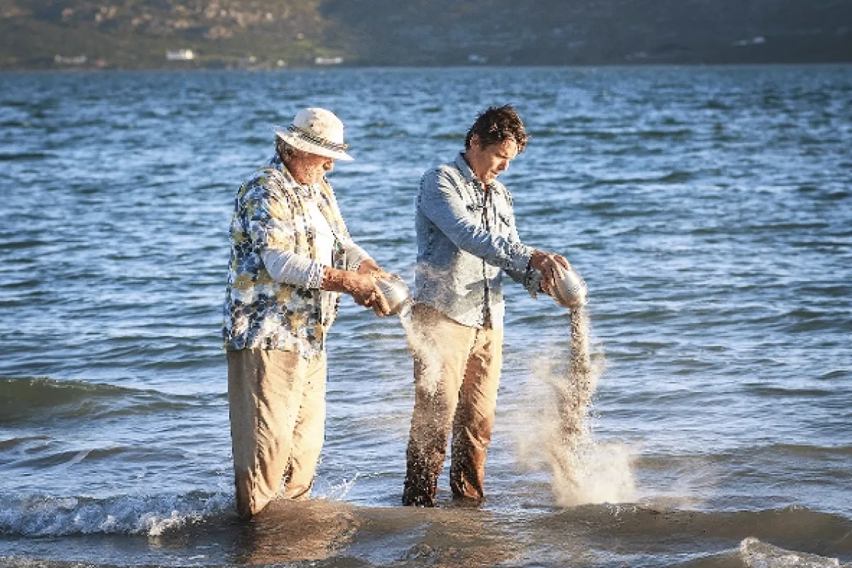 24 hodin života (24 HOURS TO LIVE), 2017 - fotogaléria