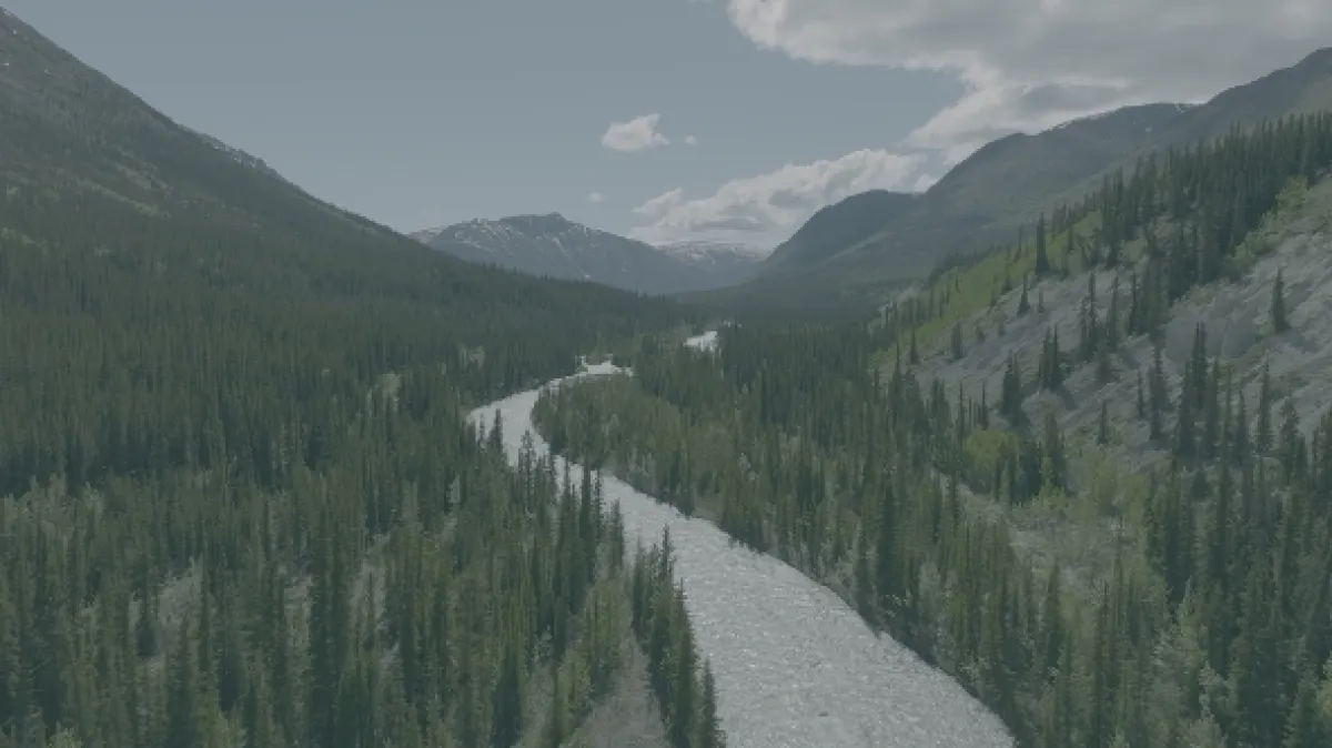 Znovuzrozená divočina Skalnatých hor: Od Yellowstonu k Yukonu - fotogaléria