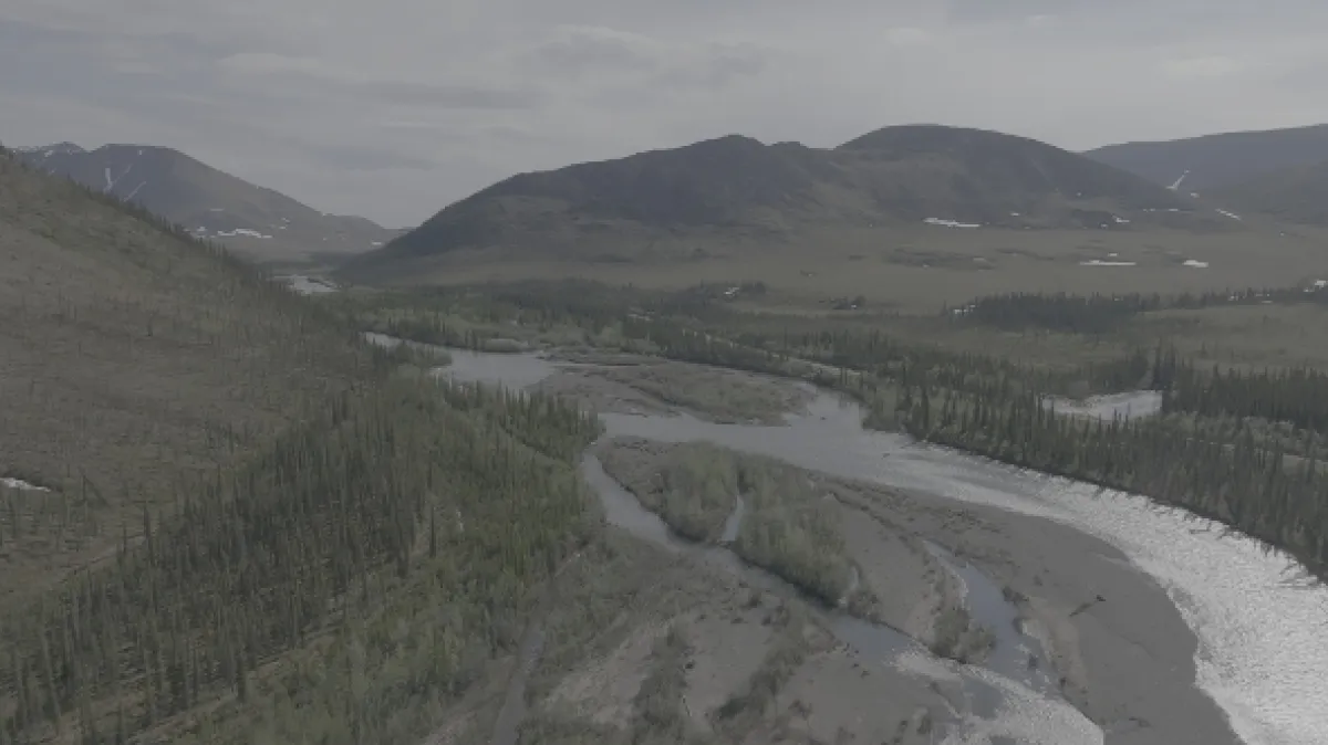 Znovuzrozená divočina Skalnatých hor: Od Yellowstonu k Yukonu - fotogaléria