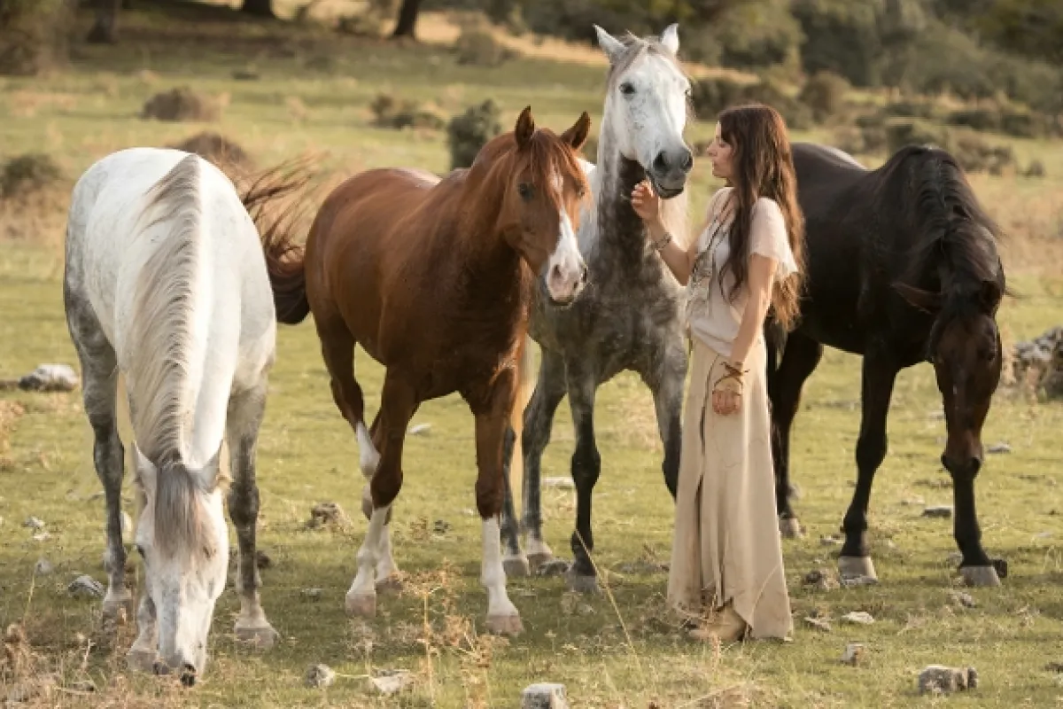 Rychlý jako vítr 3 - Cesta do Ory, 2017 - fotogaléria