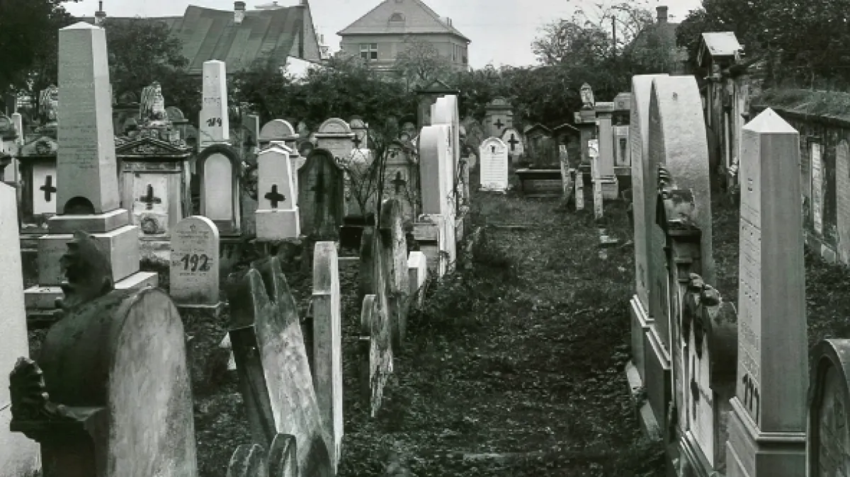 Susedia - fotogaléria