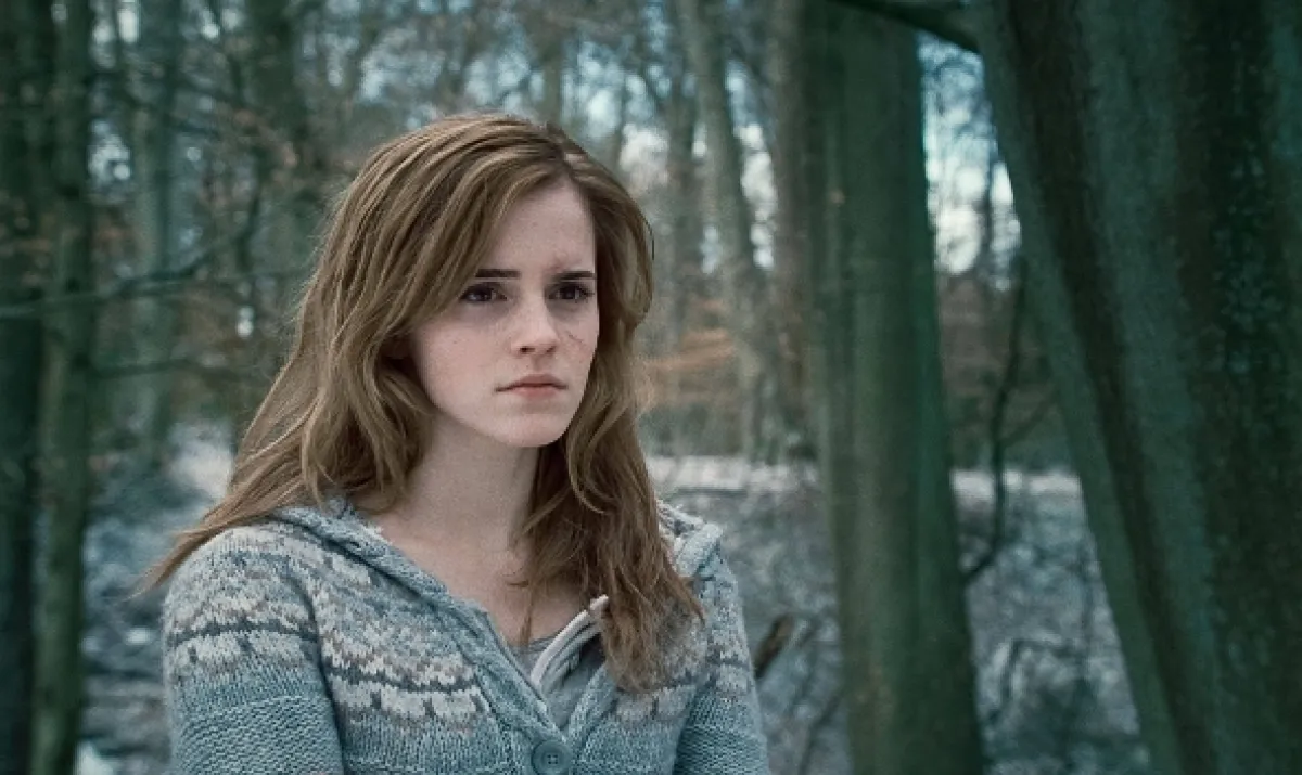 Harry Potter és a Halál ereklyéi 1. rész (Harry Potter and the Deathly Hallows Part 1), 2010 - fotogaléria