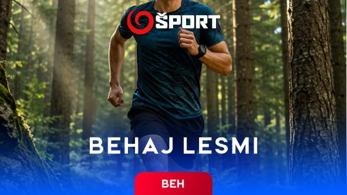 Behaj lesmi (Behaj lesmi SVK), 2026 - fotogaléria