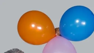 Michalovy barvy