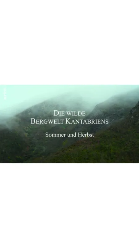 Příroda Kantaberských hor (Wildlife in the Cantabrian Mountains), 2018 - fotogaléria