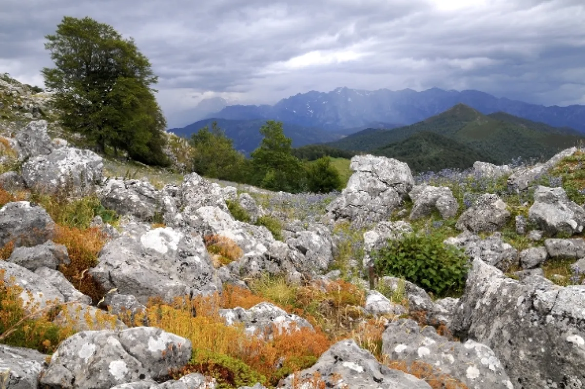 Příroda Kantaberských hor (Wildlife in the Cantabrian Mountains), 2018 - fotogaléria
