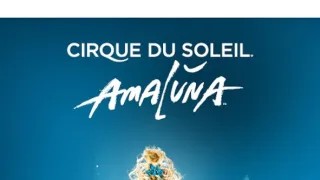 Cirque du Soleil: Amaluna