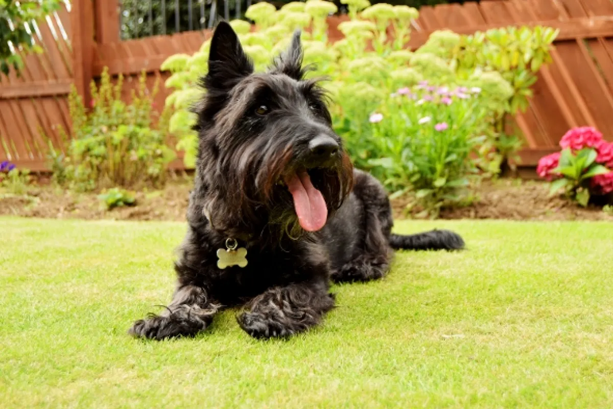 Veterinár z Yorkshiru, 2020 - fotogaléria