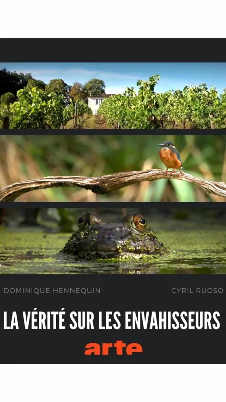 Pravda o vetřelcích (The Truth About Invaders), 2024 - fotogaléria