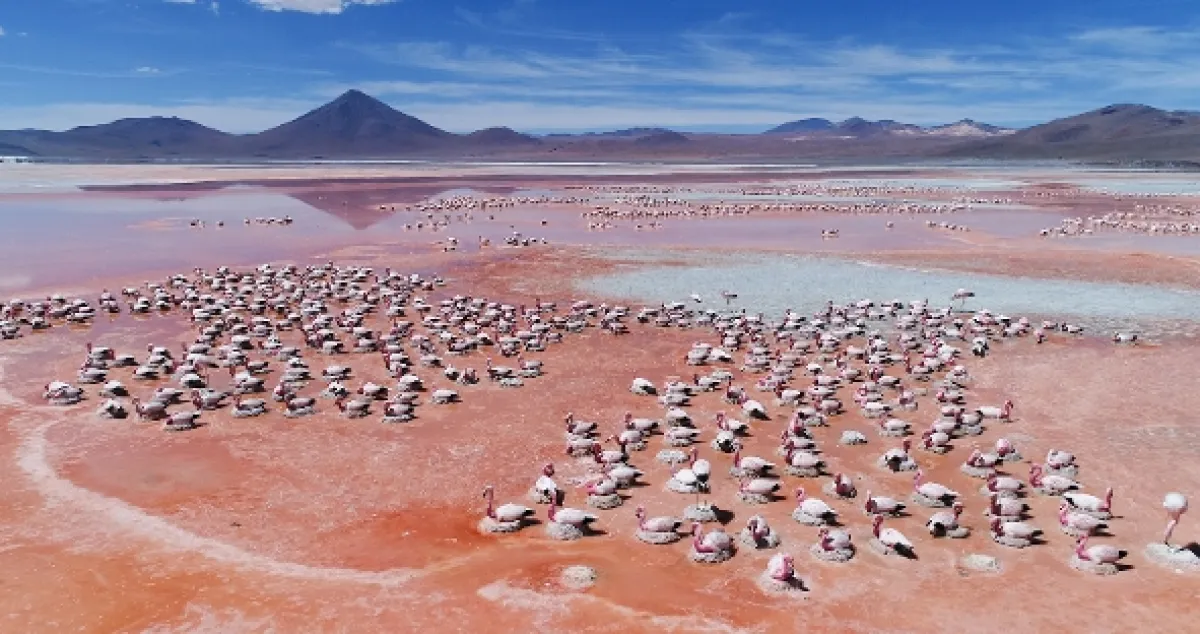 Záhadná planéta, 2020 - fotogaléria