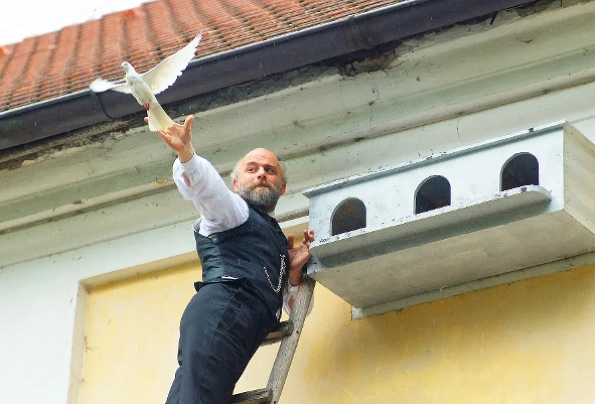 Americké dopisy, 2014 - fotogaléria