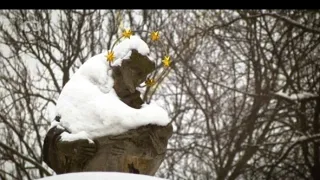Naše tradície