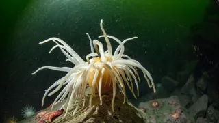 Nórske fjordy - život za šera