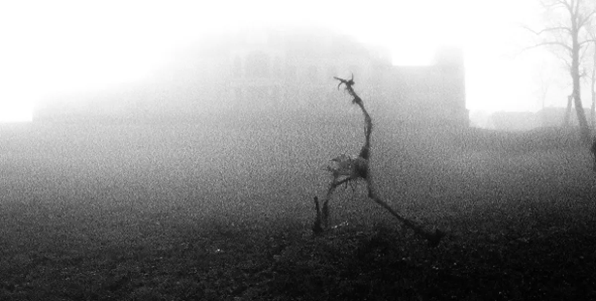 Listopad (November), 2017 - fotogaléria