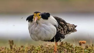 Nórske fjordy - život za šera