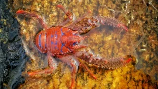 Nórske fjordy - život za šera