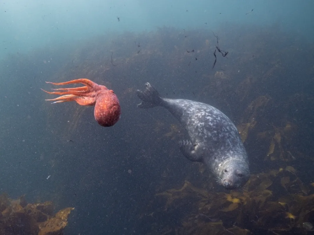 Moře v pohybu (Seas in Motion), 2023 - fotogaléria