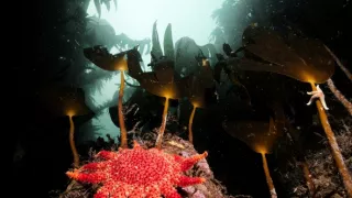 Nórske fjordy - život za šera