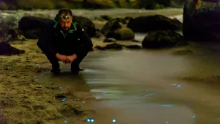 Nórske fjordy - život za šera