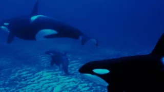 Nórske fjordy - život za šera