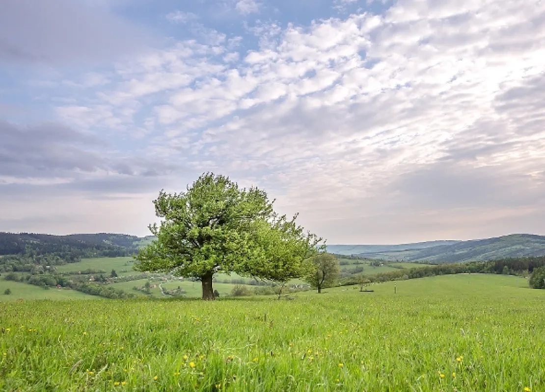 Krajinou domova, 2016 - fotogaléria