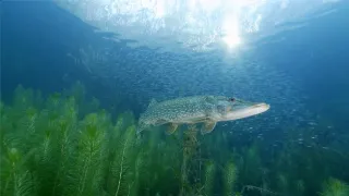 Neviditeľná rieka