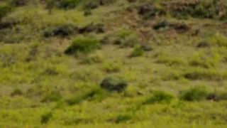 Svetom na bicykli (2/8)