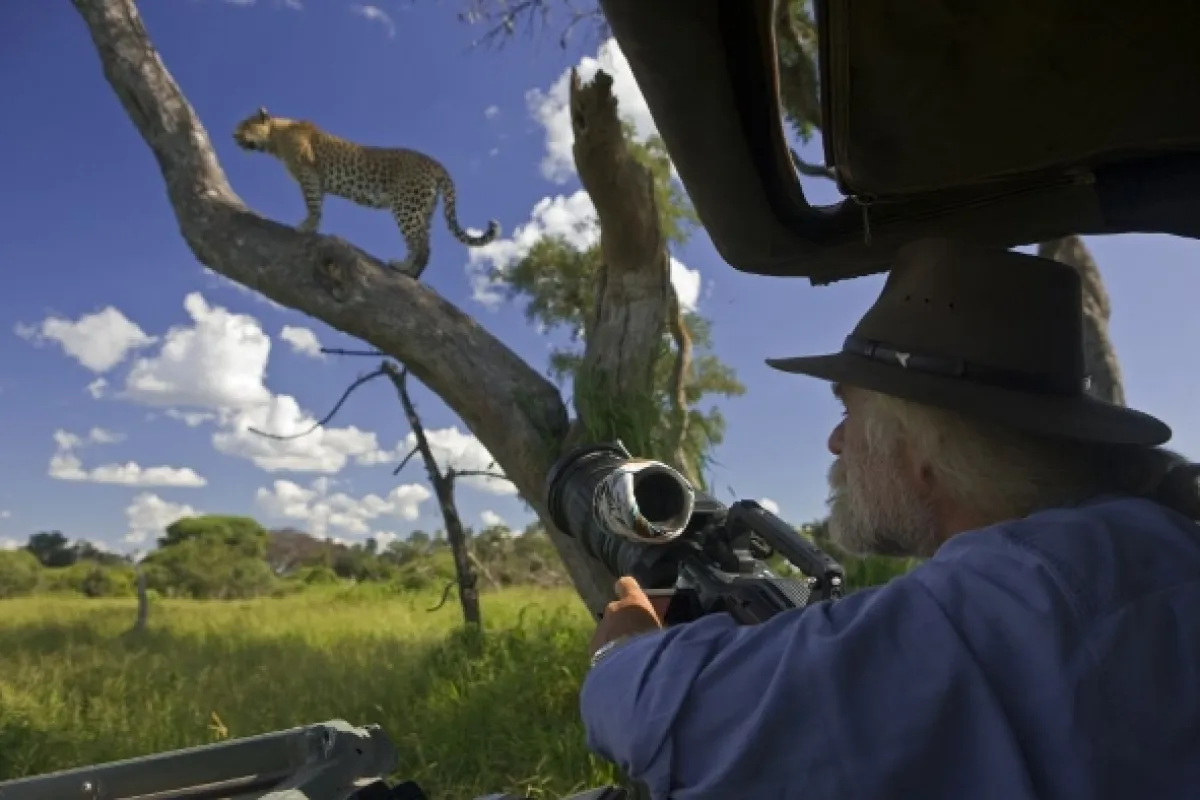 Život s veľkými mačkami (Living with Big Cats), 2020 - fotogaléria