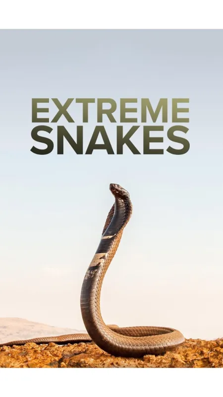 Extrémní hadi (Extreme Snakes), 2022 - fotogaléria