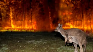 V zajatí ohňa
