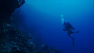 Keď žraloky útočia VII (3)