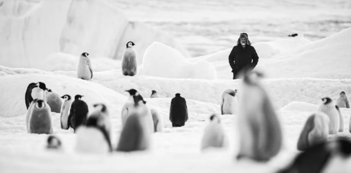 Volání Antarktidy (Voyage au pôle sud), 2023 - fotogaléria
