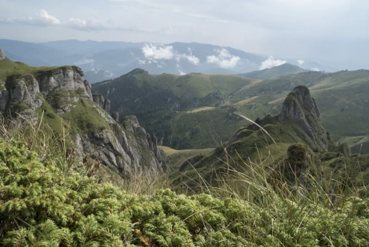 Divoké Karpaty, 2013 - fotogaléria