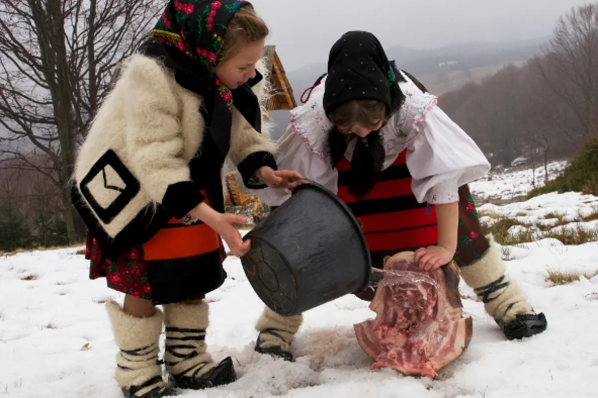 Divoké Karpaty, 2013 - fotogaléria