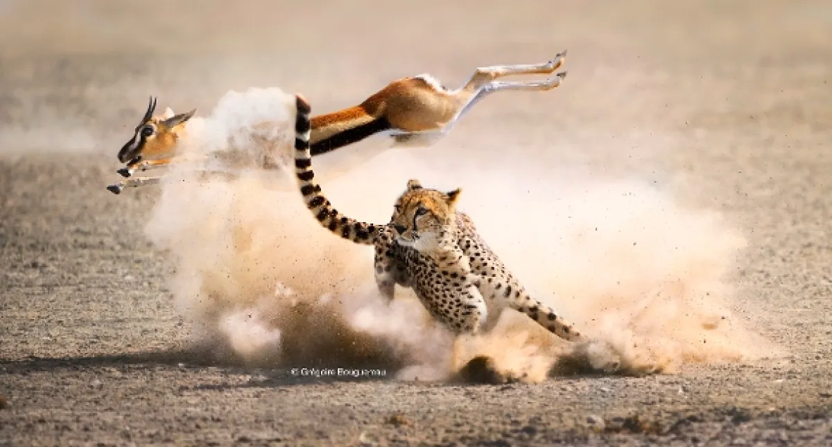 David Attenborough: Lov, 2015 - fotogaléria