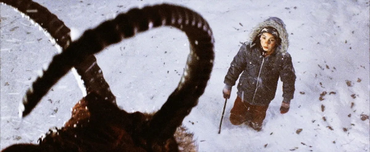 Krampus: Choď do čerta (Krampus), 2015 - fotogaléria