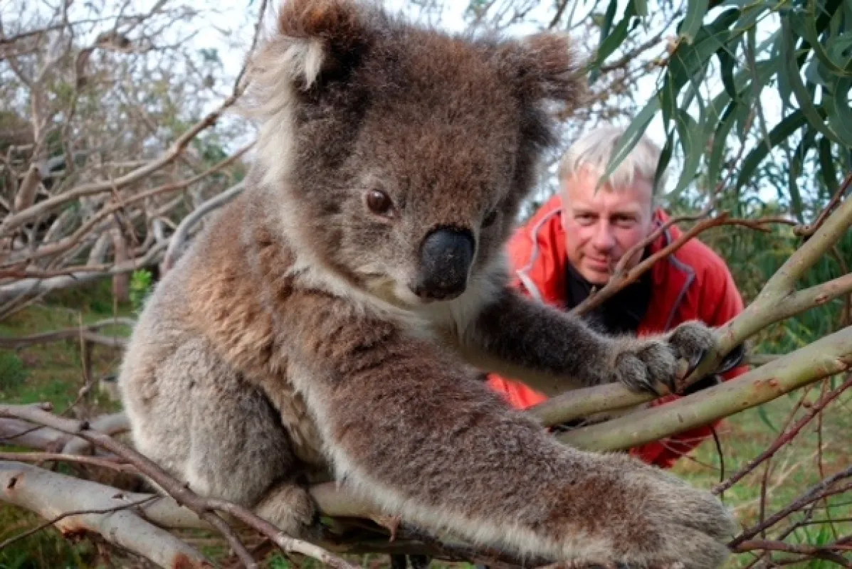 Divoká Austrália - fotogaléria