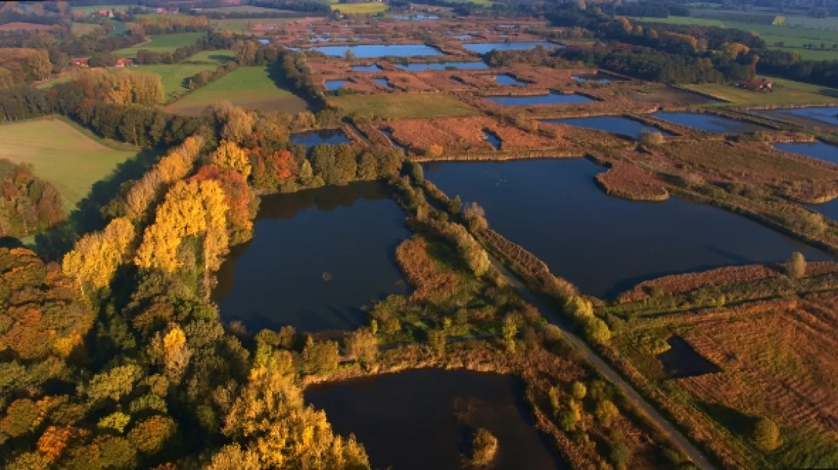 Nečakaná divočina (Accidental Wilderness: The Europe’s Everglades), 2020 - fotogaléria