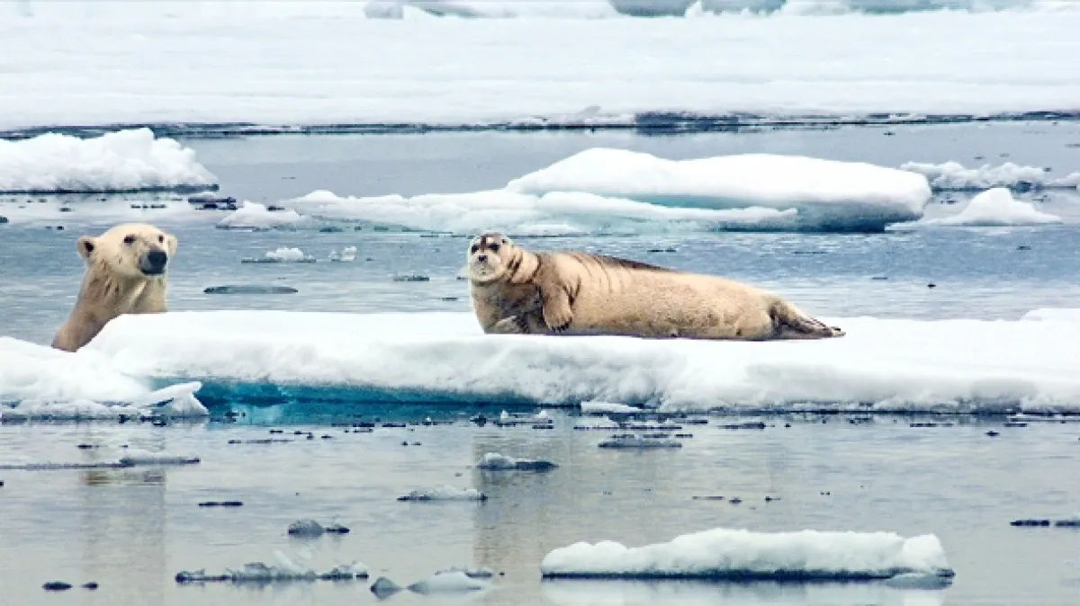 David Attenborough: Lov, 2015 - fotogaléria