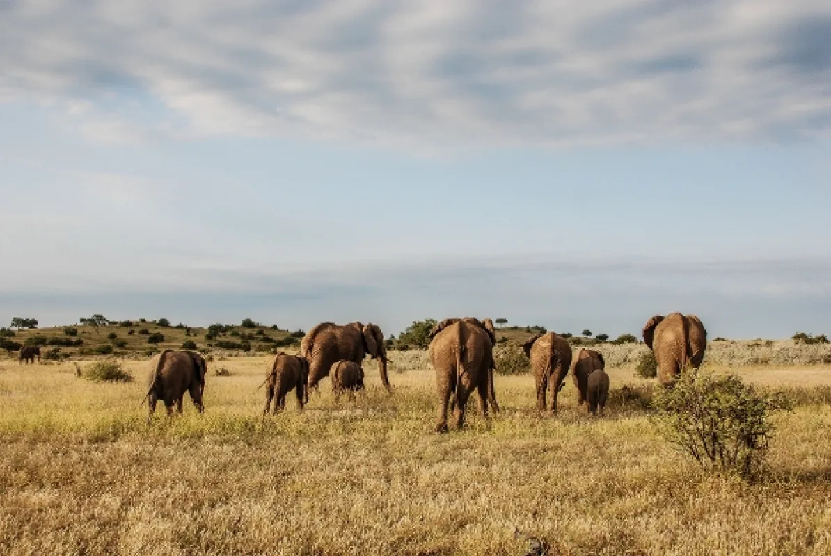 Kráľovstvo afrických predátorov (Africa’s Predator Kingdoms), 2018 - fotogaléria