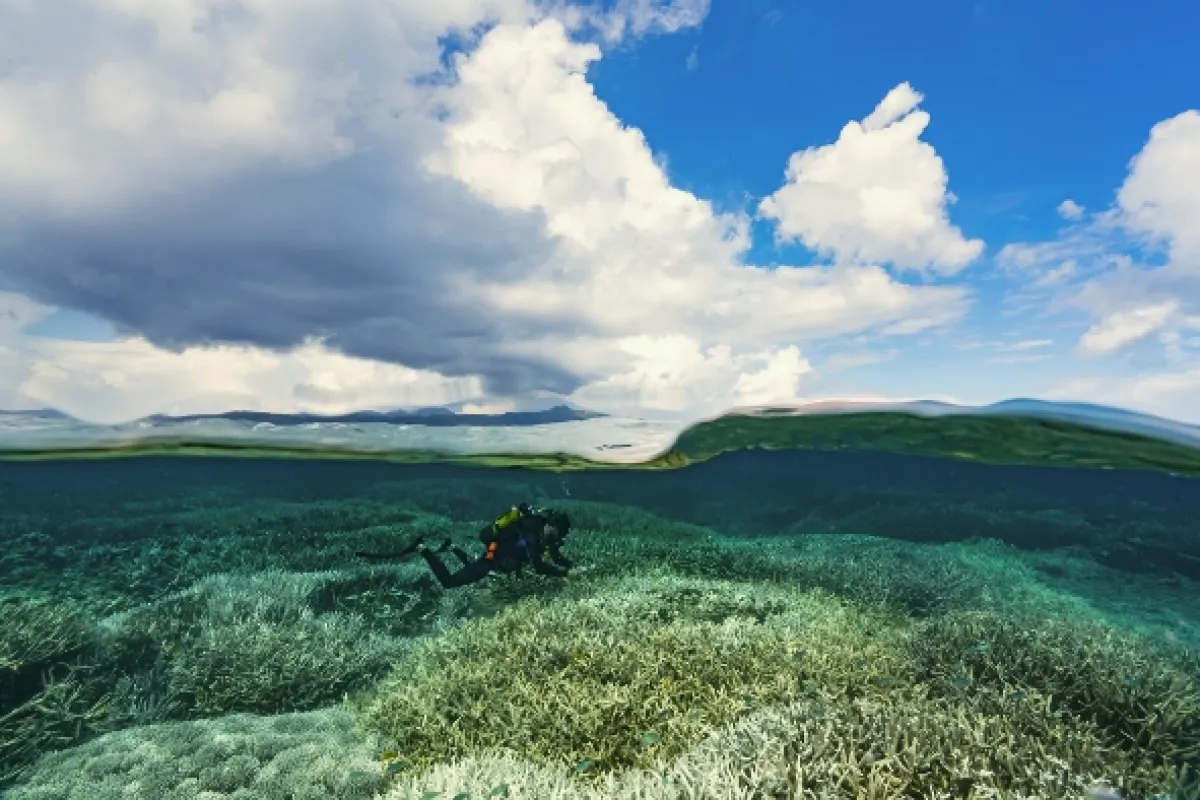 Korálová planeta (Planet Reef), 2021 - fotogaléria
